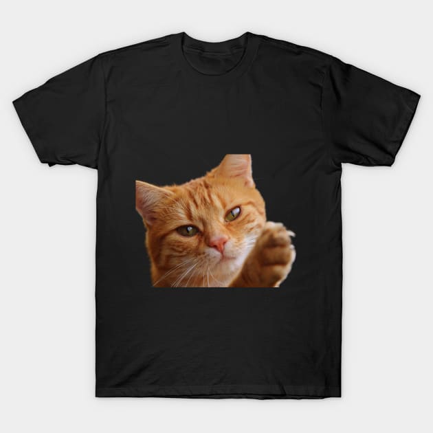 Dramatic Cat T-Shirt by TonSlice